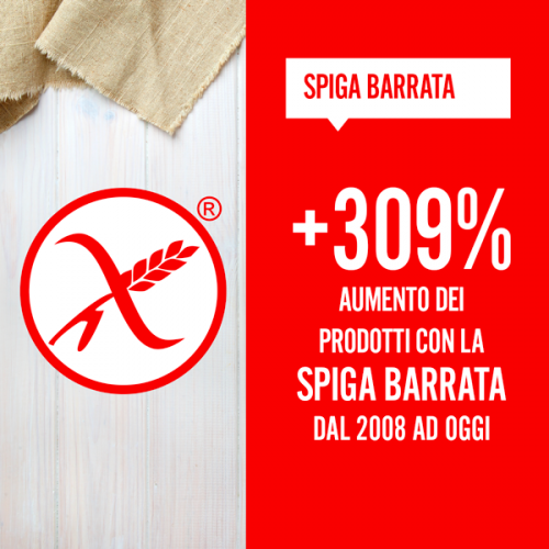 spiga-barrata-600x600